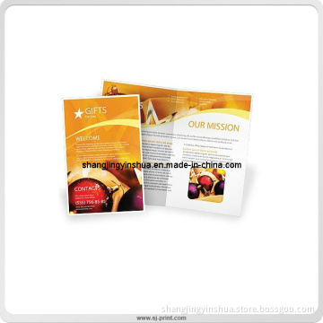 Popular 2014 Customized Design Full Color Brochure (PB010)